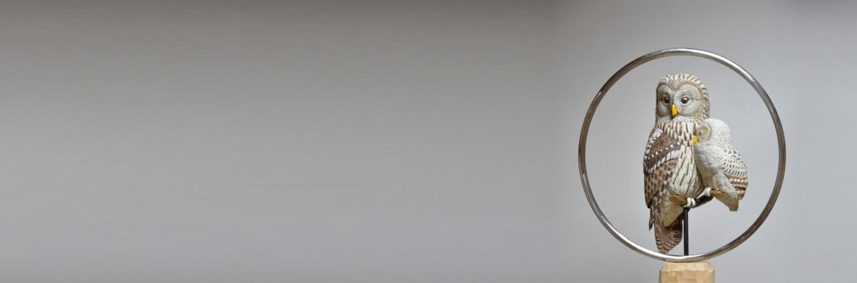 野鳥彫刻家 水上清一 | 一塊の木に命を吹き込む