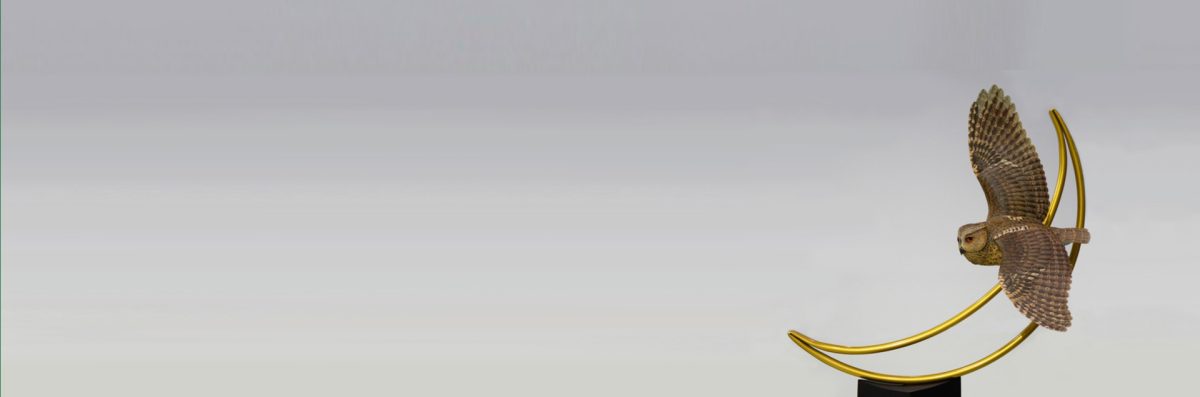 野鳥彫刻家 水上清一 | 一塊の木に命を吹き込む